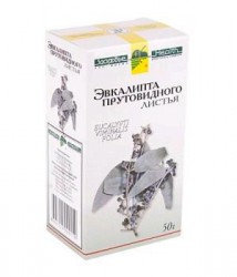 Эвкалипта лист