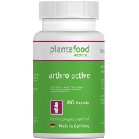 Артро-актив